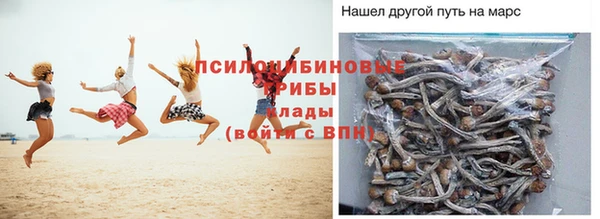 крисы Алзамай