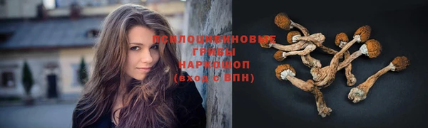 бошки Алексин