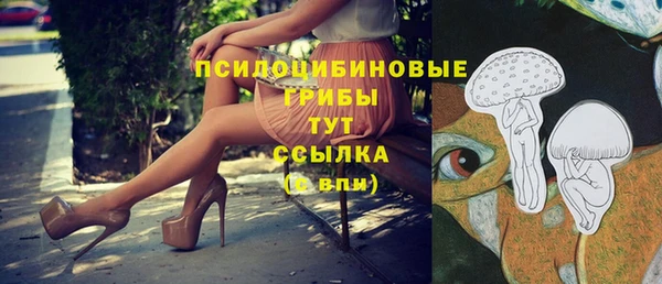 бошки Алексин