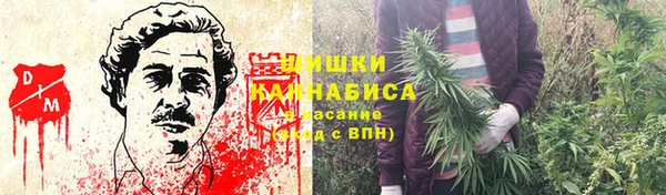 бошки Алексин