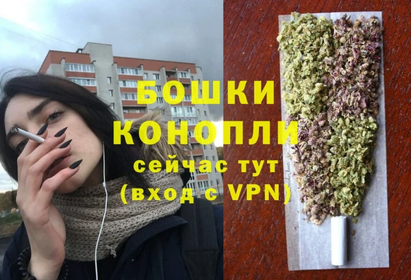бошки Алексин