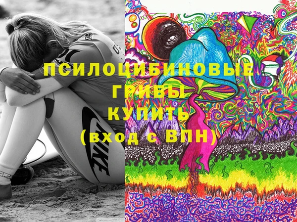 бошки Алексин