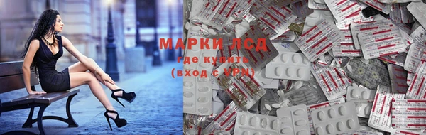 бошки Алексин