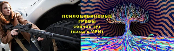 крисы Алзамай