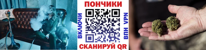 Каннабис гибрид  Ардатов 